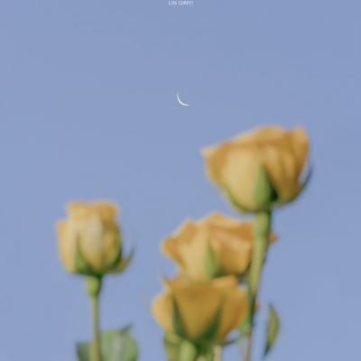 波胆app官网手机app下载