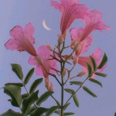 B体育登录APP下载手机app下载